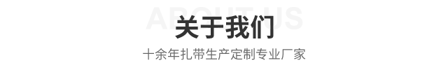 公司简介